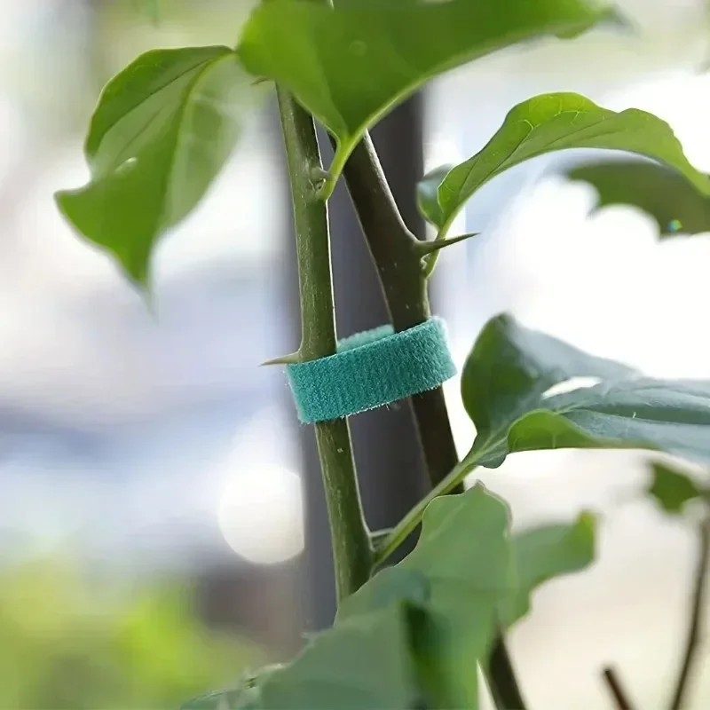 Dasi Kabel Nilon Tanaman Berpe - Gear Tie Reusable ulasan dan harga
